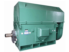YRKK710-4Y系列6KV高压电机